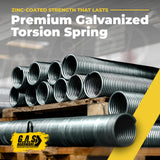 250x2x30 Galvanized Torsion Spring